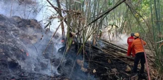 Penanganan karhutla yang melanda wilayah Kecamatan Watang Pulu, Kabupaten Sidenreng Rappang, Provinsi Sulawesi Selatan pada Senin (24/8/2026).