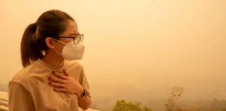 Kabut asap dan polusi udara dapat berdampak pada kesehatan pernapasan.