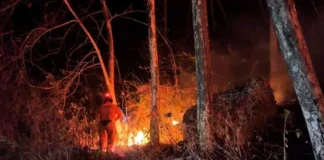 Petugas melakukan pemadaman api kebakaran hutan dan lahan (karhutla)